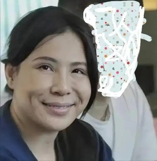 又在巧立人设?伪作家陈岚称目标达成要退出过问江秋莲事件