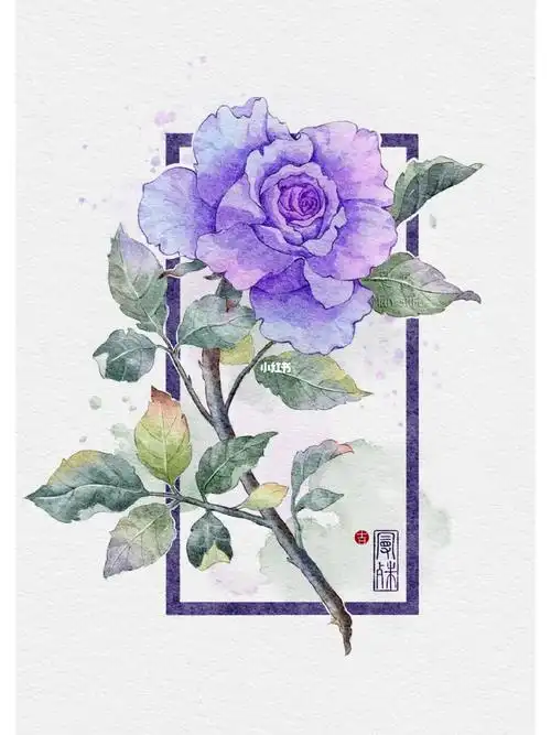 花卉插画,ipad水彩