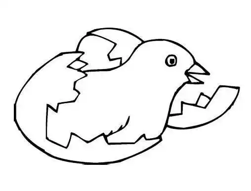 小鸡破壳简笔画 小鸡破壳简笔画涂色