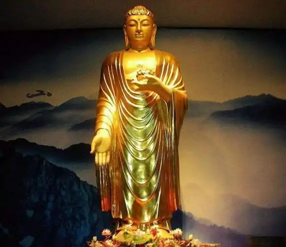 大日如来与阿弥陀佛有什么区别如何通过外观来区分你了解吗