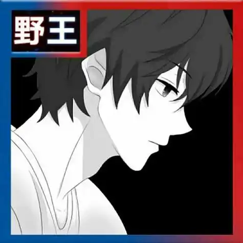 王者荣耀野王头像3