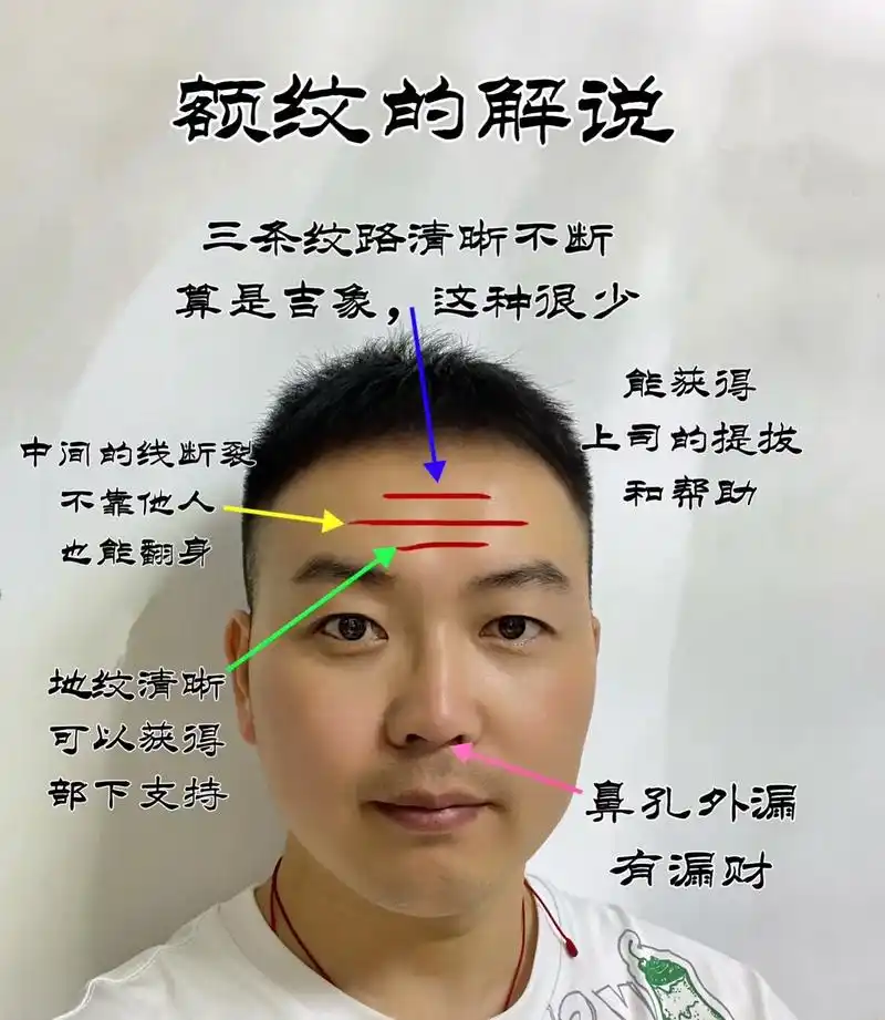 额头纹.#面相 #识人术 #相由心生 #识人技巧 #脸型 - 抖音