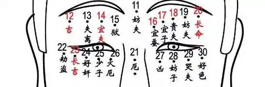 11,妨夫:对丈夫不利.一生难有正常的家庭生活,双眉之间,注定孤独.