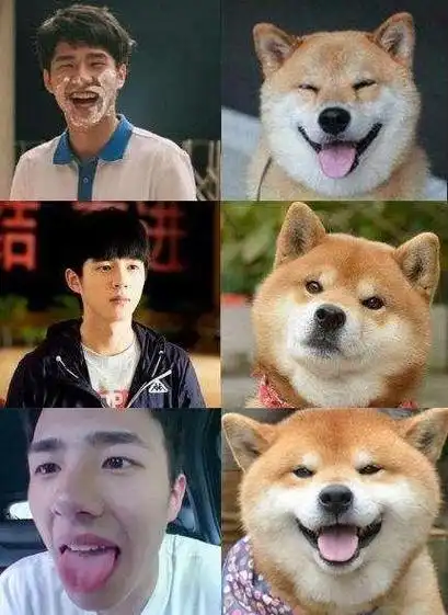 而刘昊然的各种直男式拍