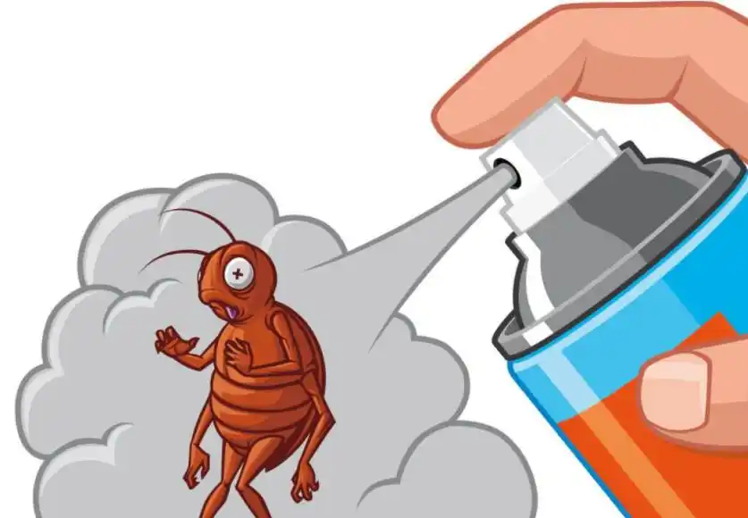 在家使用杀虫剂安全吗