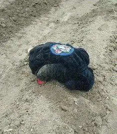 农村宝宝变身推土机玩得好嗨虽然浑身脏兮兮笑容却真纯真