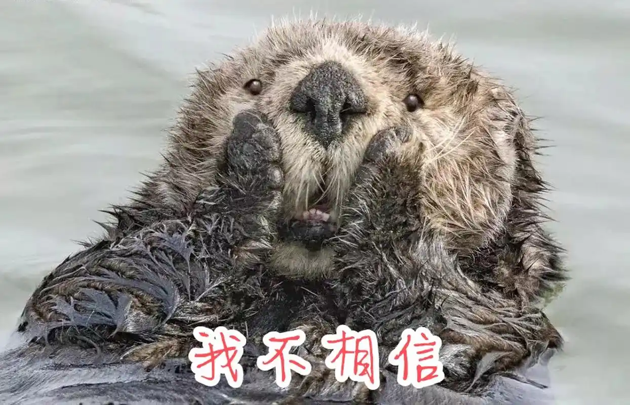 动物搞笑表情集合,真是逗死我了[大笑][大笑][大笑]#动物趣图