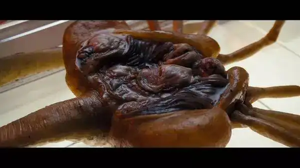 随着时间的推移,她的内心里滋生出了对生肉和鲜血的渴望!