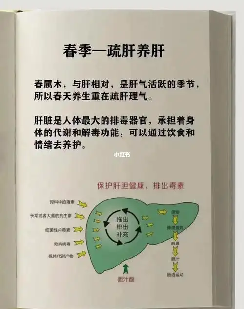 tst春季养生|重在养肝