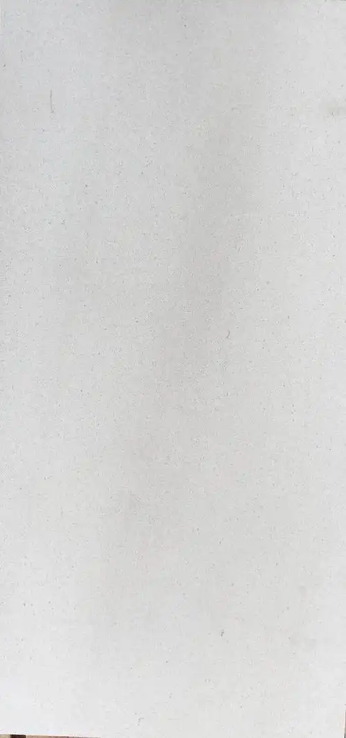 纯白色正宗法国莱