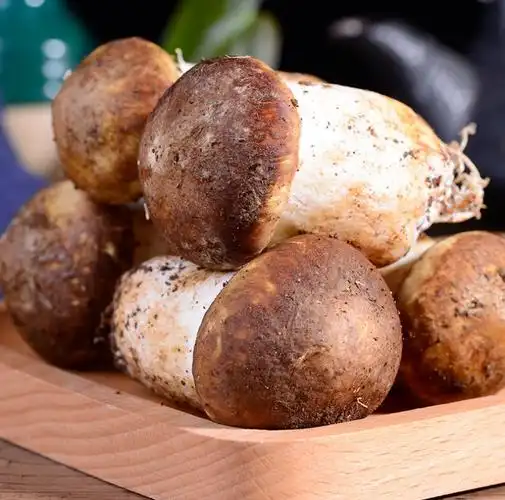 5折 云南鲜姬松茸新鲜菌菇类菌子特产菌1000克特级 野生白葱牛肝菌