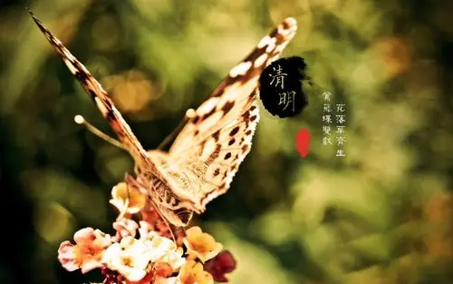 清明节吉祥祝福语2021年清明节短信大全