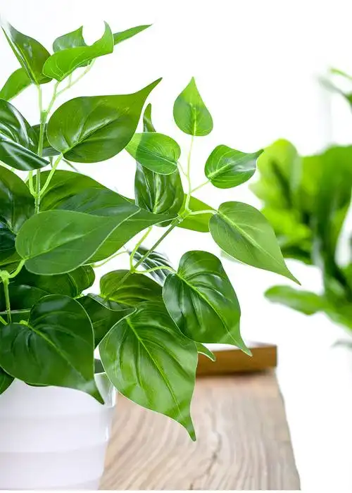 兆族仿真绿萝盆栽室内仿真植物塑料小盆栽装饰绿植仿真花草假植物绿萝