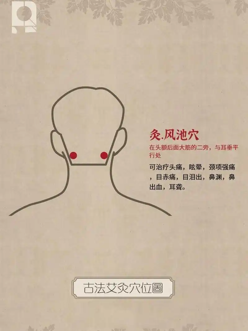 健康养生 认穴识灸 | 风池穴 穴位释义 风池穴属足少阳胆经,也是胆经