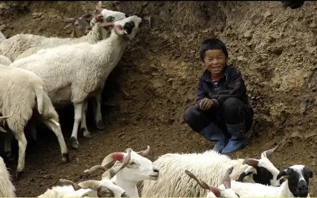 放羊娃意外发现日军藏的宝藏,13辆卡车才拉完,政府奖励100块