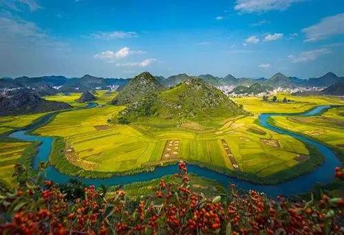 祥云县下庄镇大仓村发展高原特色农业产业助力农民脱贫摘帽 -大理州