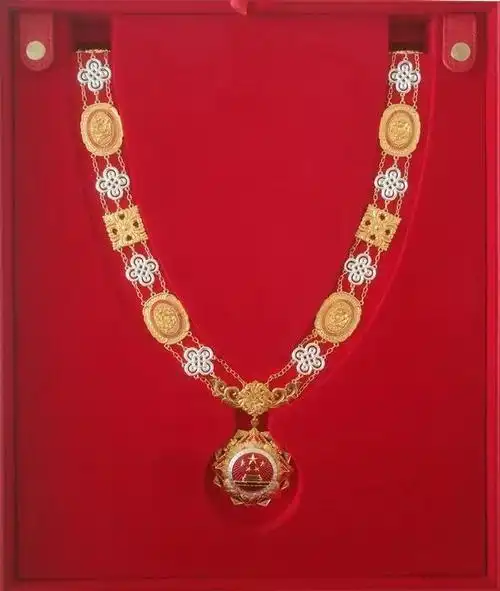 国家勋章和国家荣誉称号颁授仪式上的农大身影!