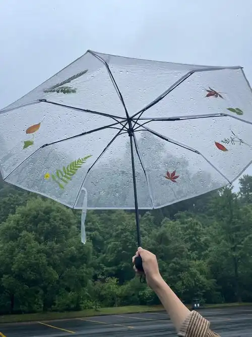 如果雨伞长这样74一定爱上下雨天