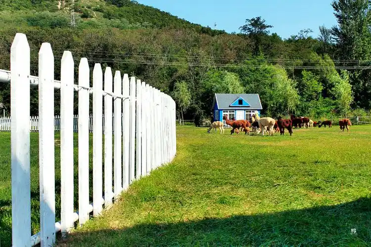 《大海户外》休闲铭湖牧场2019.9.
