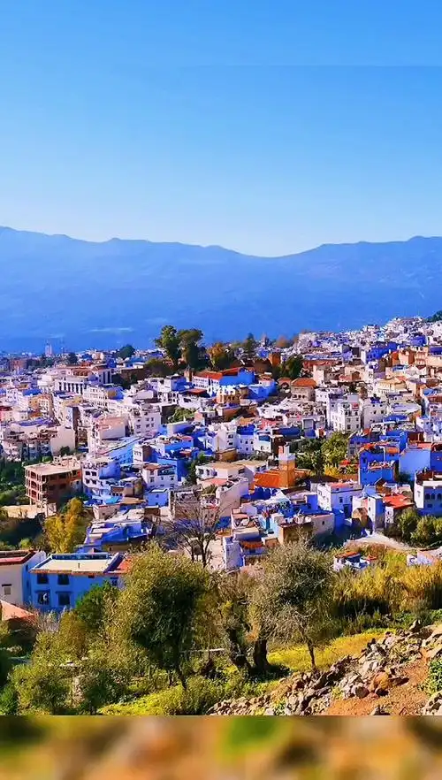 摩洛哥舍沙万夫