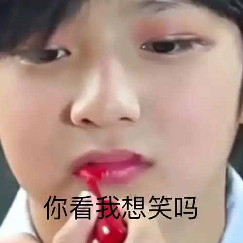 你看我想笑吗刘耀文表情包