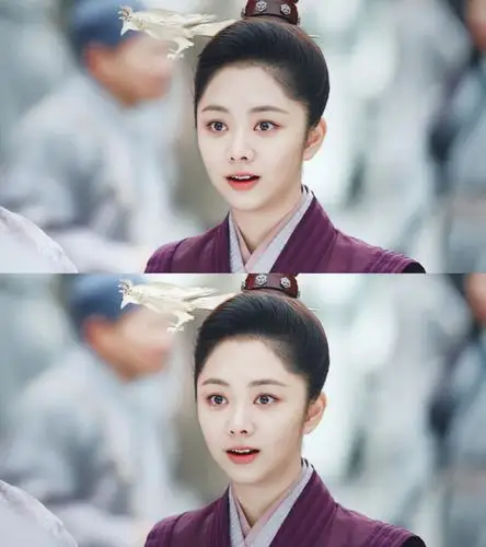 锦衣之下 袁今夏