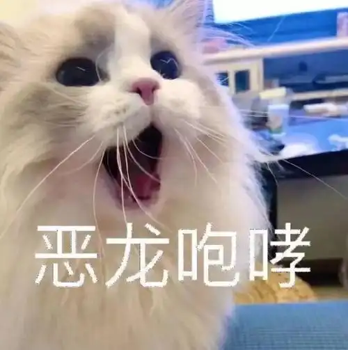 恶龙咆哮猫咪猫咪恶龙咆哮表情