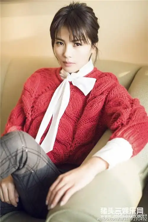 刘涛被文强睡图片全套曝光 刘涛老公王珂破产崛起个人资料年龄身高