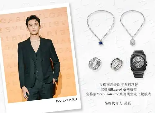 吴磊佩戴宝格丽高级珠宝系列项链,b.