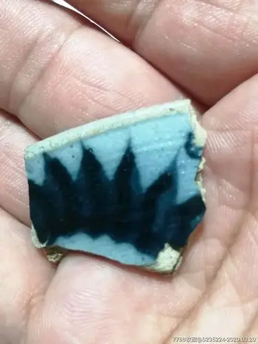 元青花出土珍贵瓷片