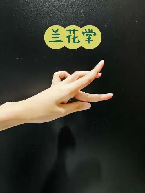 古典舞基本手位