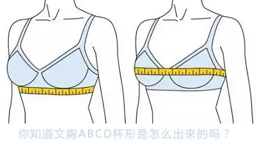 内衣的尺码通常由两个数字和一个字母组成,比如70b,75c等等.