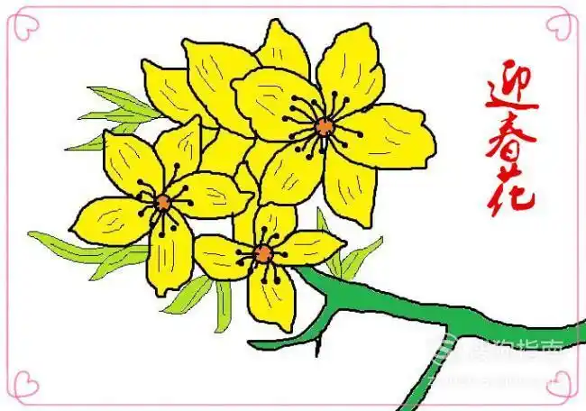 幼儿简笔画迎春花