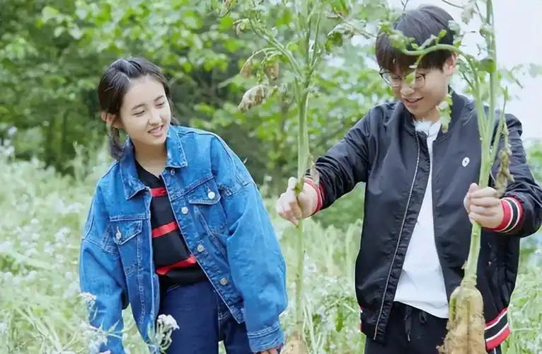 "京圈宠儿"张子枫:背靠5个爸爸无人敢惹,文艺人设翻车遭群嘲