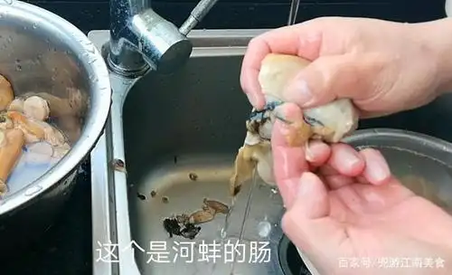 淮扬菜大厨教你如何在家做河蚌烧咸肉汤鲜味美,摘洗处理是关键
