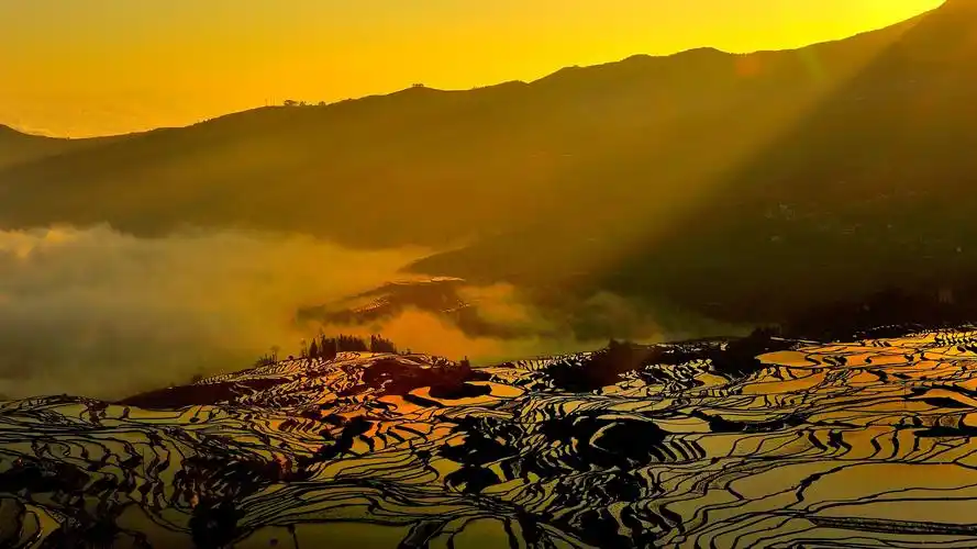 云南省的元阳梯田