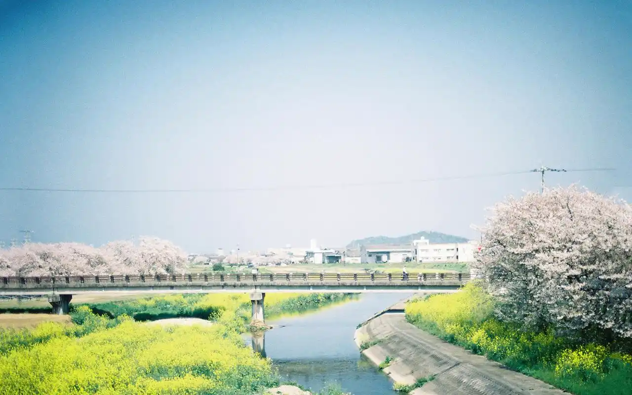 小清新系唯美自然风光高清壁纸高清大图预览1920x1200_风景壁纸下载