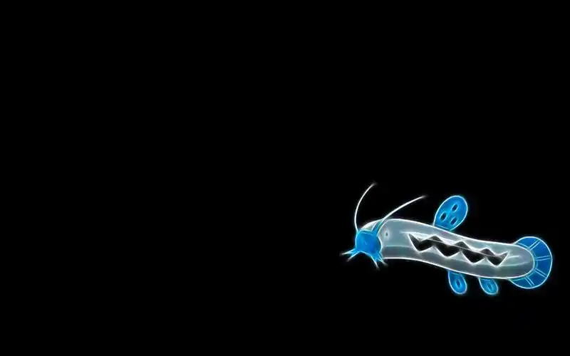 宠物小精灵纯黑桌面壁纸