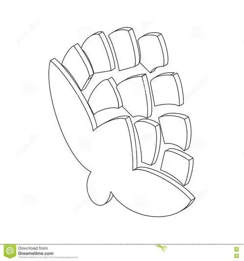 蛇麻花简笔画集蛇床花简笔画