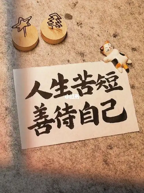 聪聪手写人生苦短善待自己