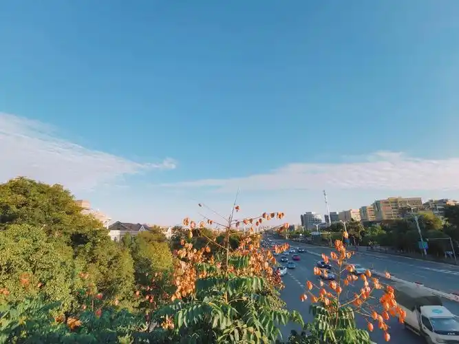 生活日常·喜欢有阳光的日子.晒一些照片,也晒晒太阳. - y2k154