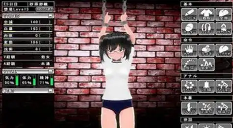 监禁调教全cg存档版亮点游戏画面非常精致,仿佛身临其境游戏玩法