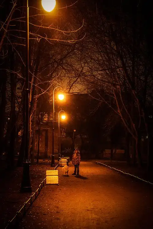 夜晚 路灯 人物图片_夜晚 路灯 人物高清图片素材库