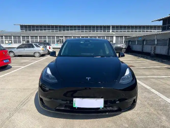 特斯拉 model y  2021款 标准续航后驱升级版 3d6图片
