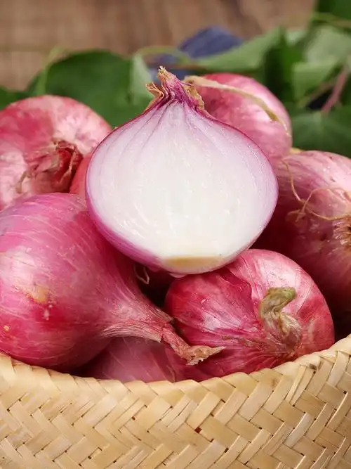 黑龙江省特产挠力河毛葱