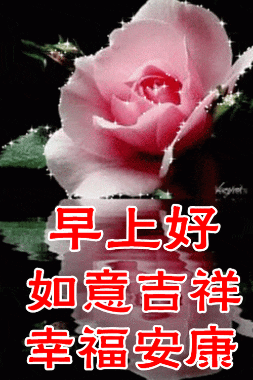 2月27日最漂亮早上好动态表情图片大全早晨好动图美图大全