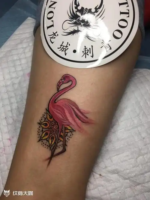 火烈鸟_纹身图案手稿图片_呃 丽丽的纹身作品集