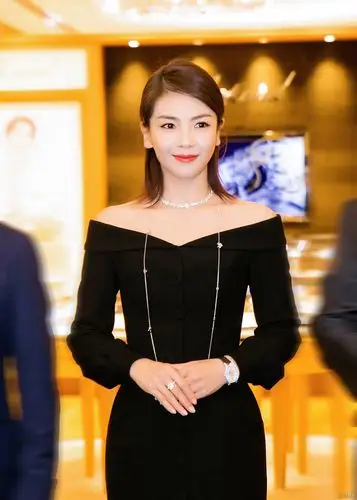 刘涛出席活动明眸皓齿温柔浅笑解锁优雅格调