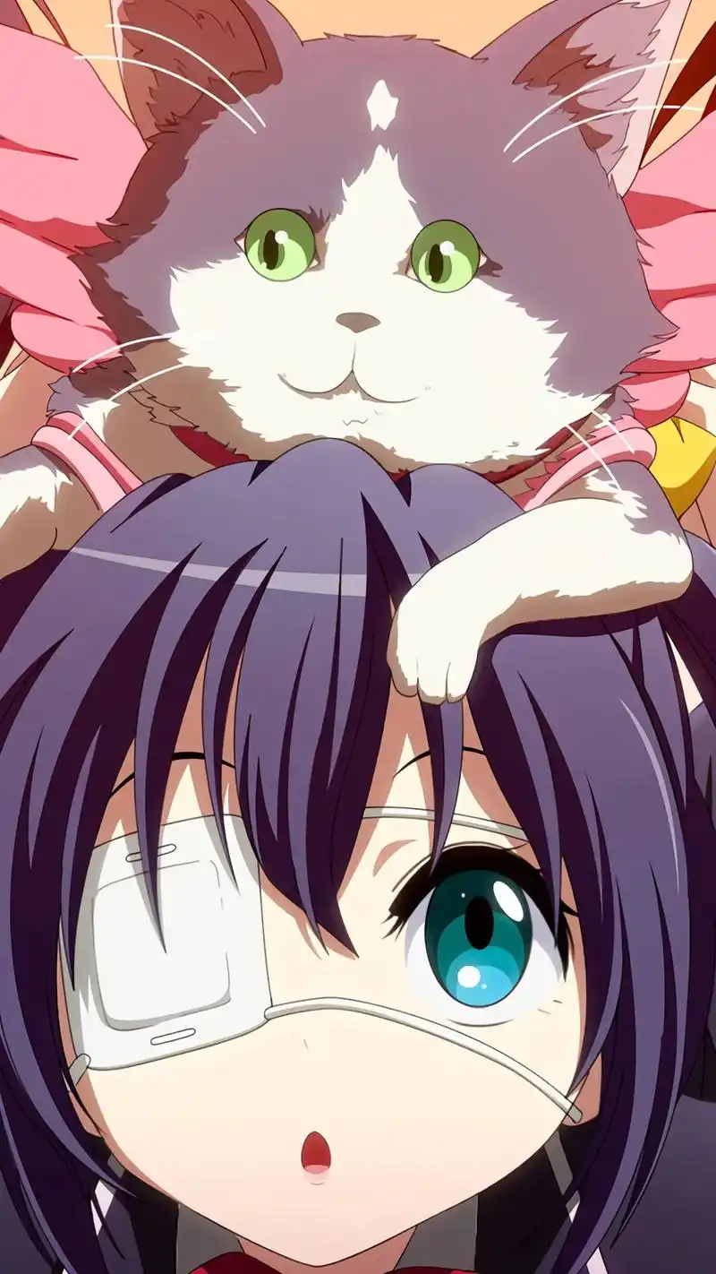 咳,这个可没什么遮挡物啊～#二次元  #壁纸 #小鸟游六花  - 抖音