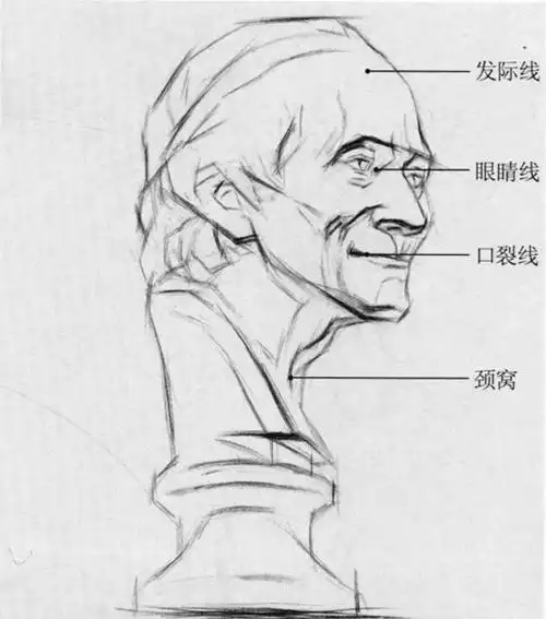 伏尔泰石膏像素描步骤六